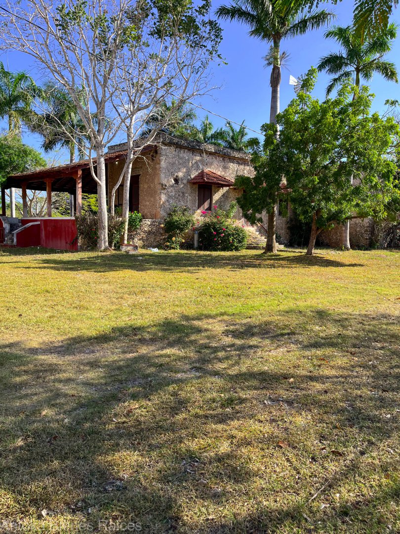 Hacienda San Eduardo (8)