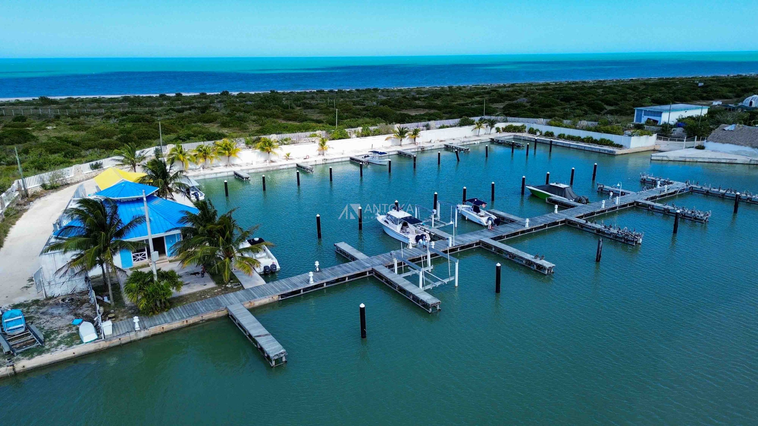 Marina Telchac Puerto (1)