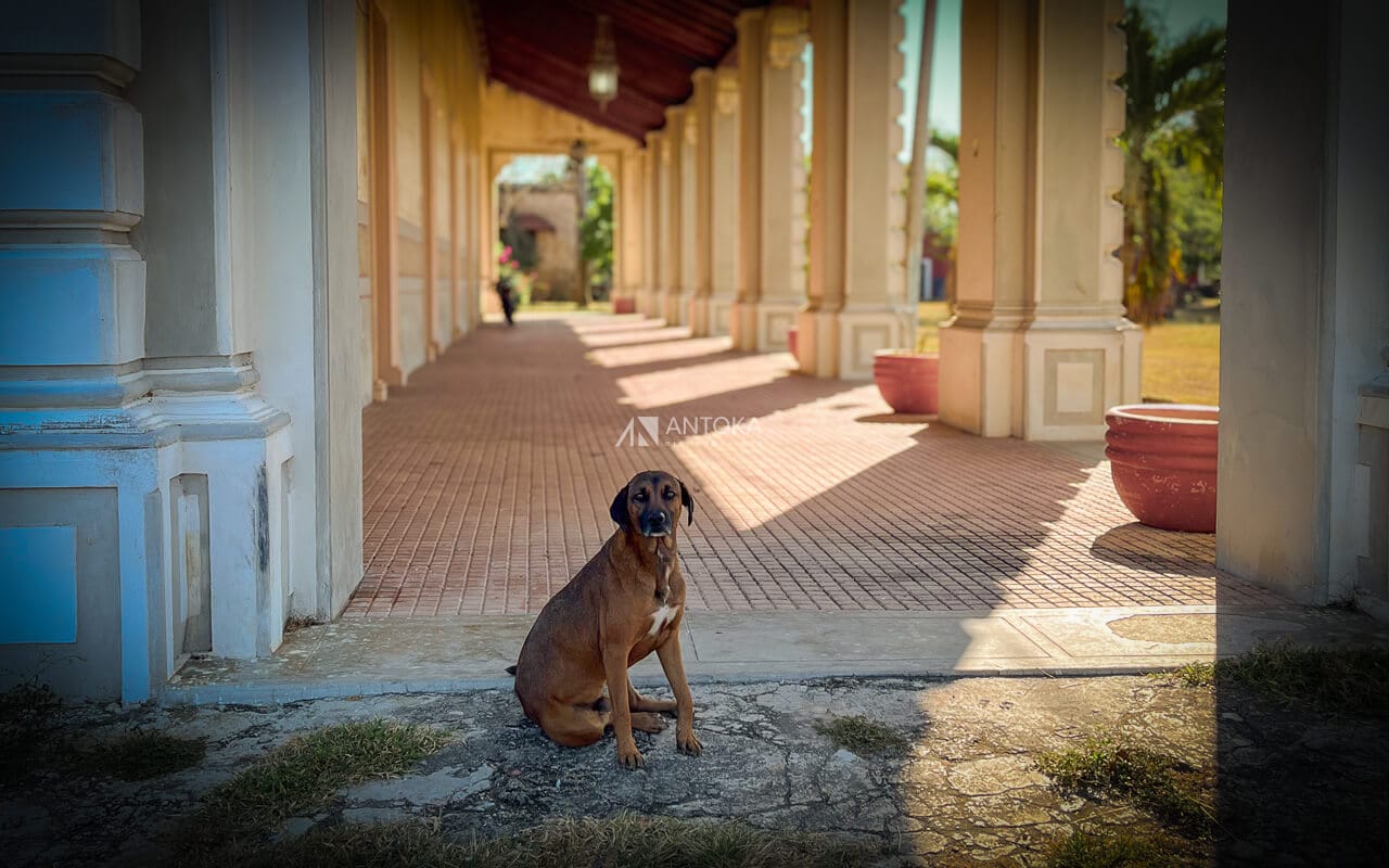 Casco de Hacienda San Eduardo Restaurado