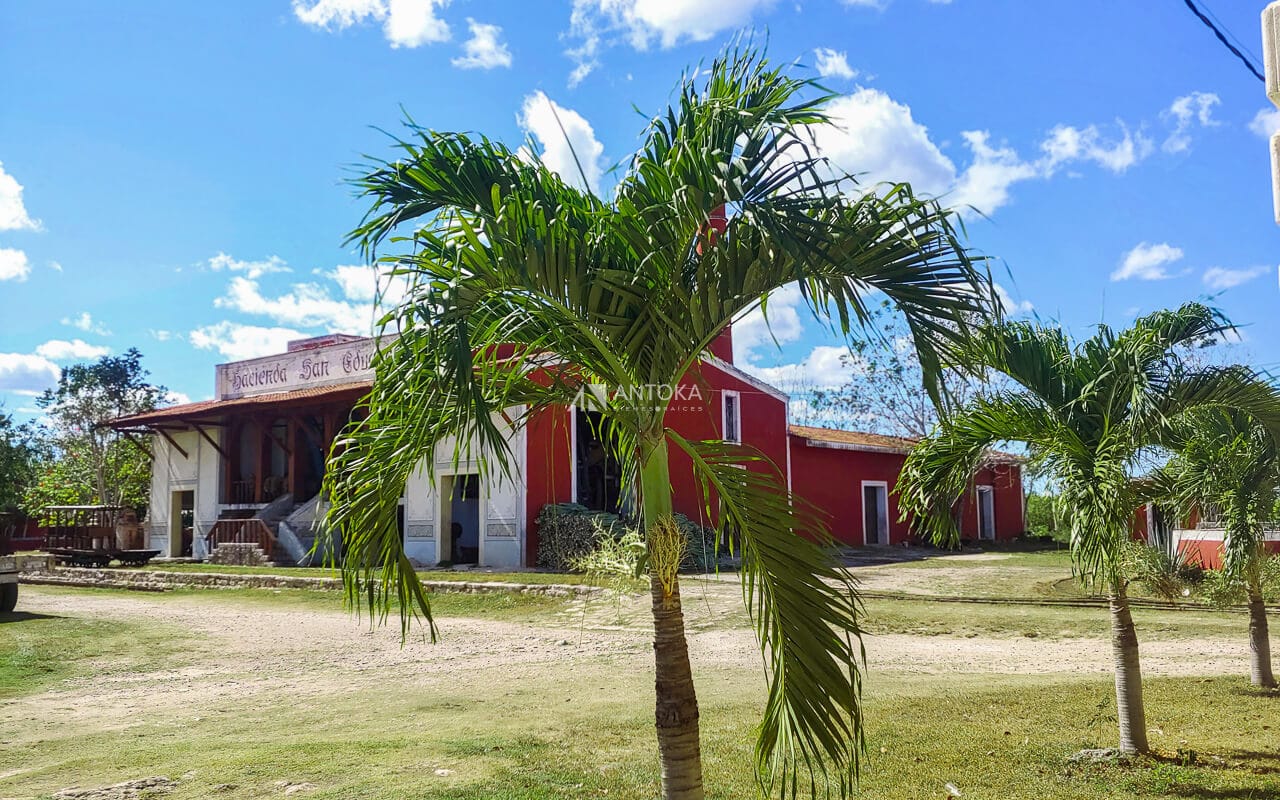 Maquinaria Henequenera Original