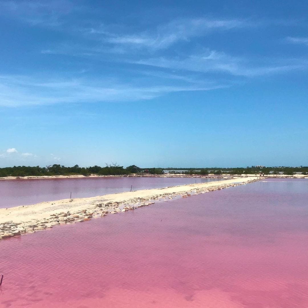 Laguna Rosada — Telchac, Yucatán