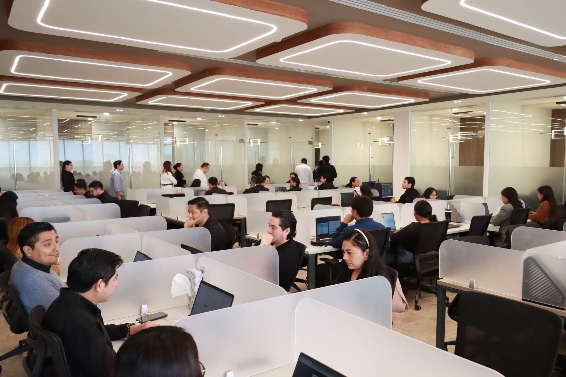 Oficinas en operación dentro de DAM Business Center