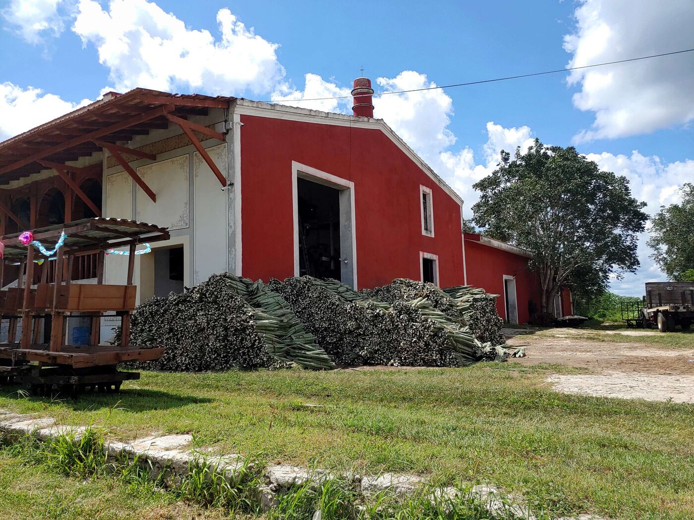 Pencas de henequén frente a la desfibradora