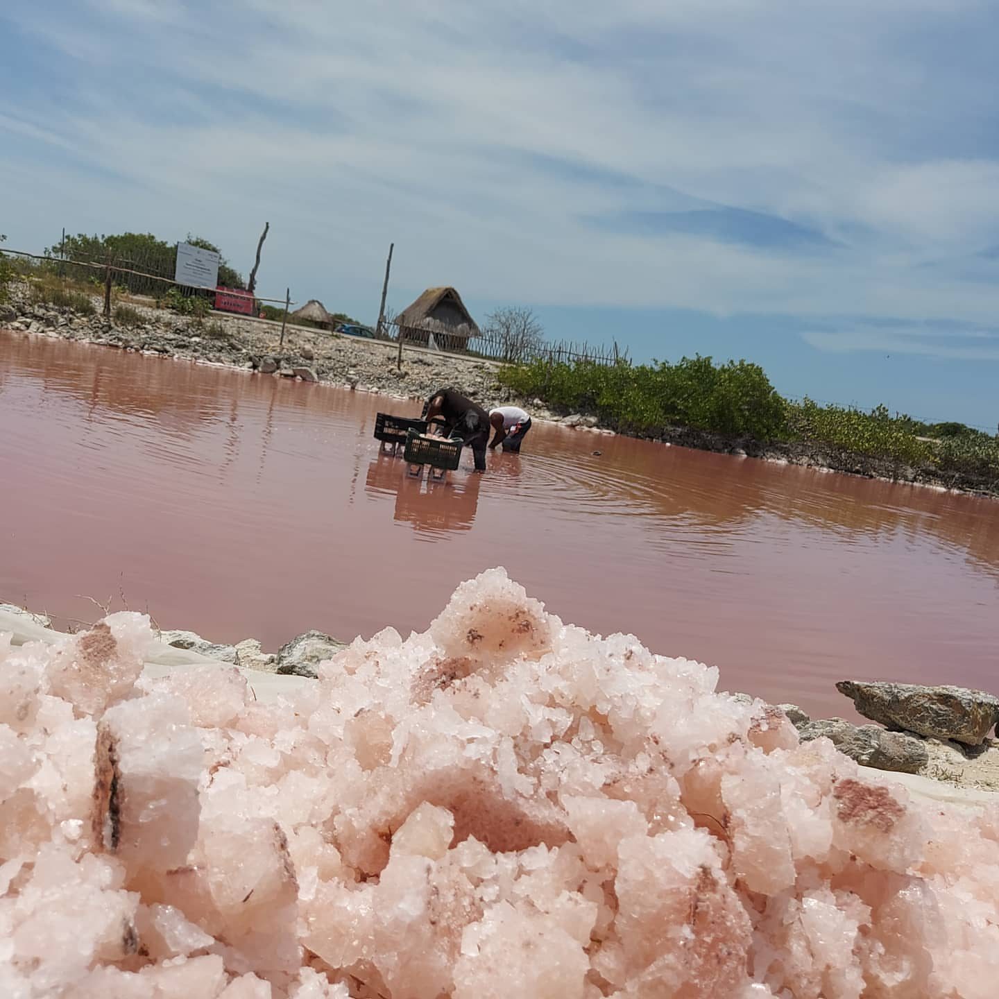 Sal rosa cosechada en la salinera de Xtampú