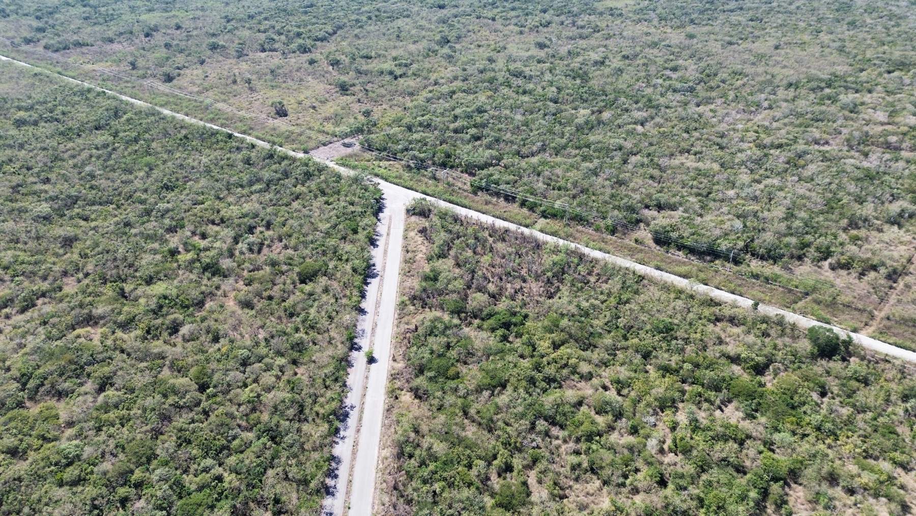 Avenida de acceso pavimentada con alumbrado en San Roque
